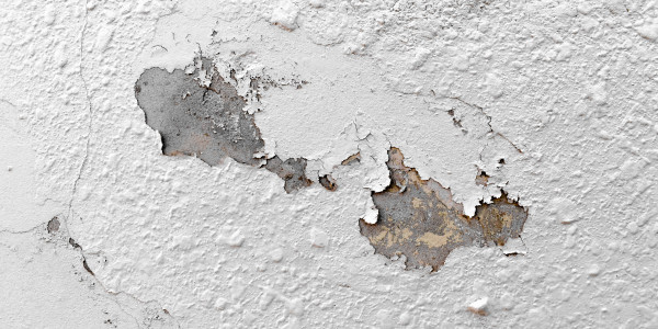 Pintar Fachadas de Naves Industriales, Fábricas y Almacenes Jaca · Pintura Antihumedad / Antimoho para Humedades / Moho